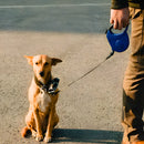 Coleira retrátil para cachorro