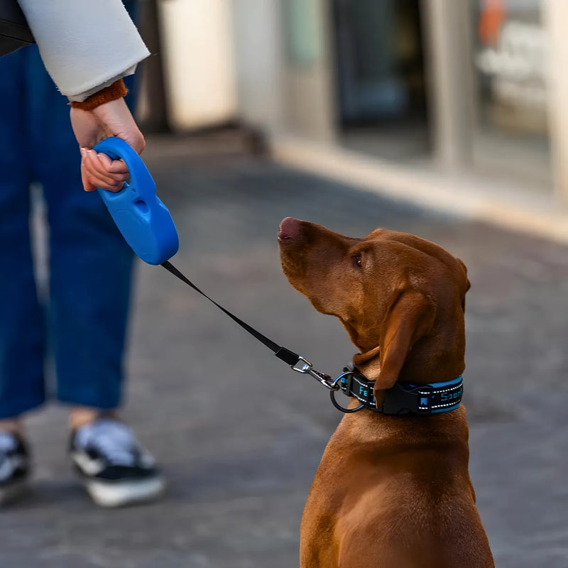 Coleira retrátil para cachorro