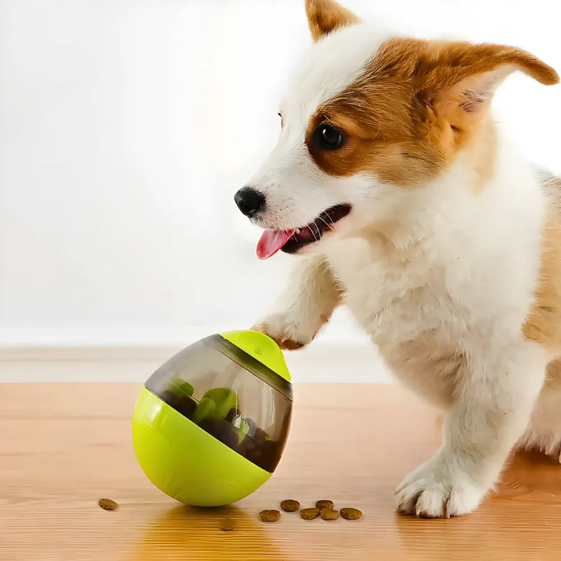 Brinquedo Interativo Para Cães com Dispensador para Petisco