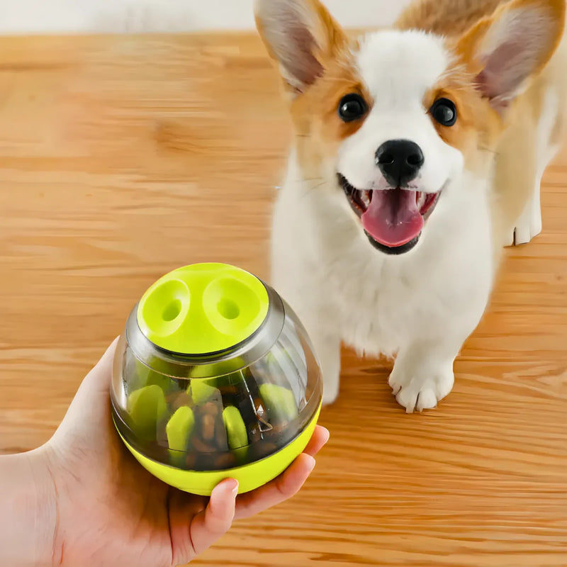 Brinquedo Interativo Para Cães com Dispensador para Petisco